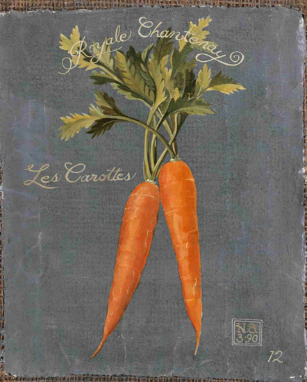 Kompatibel Stilleben til Jahrriesnge carrot-lpf00286 Kompatibel Stilleben Jahrriesnge til carrot-lpf00286