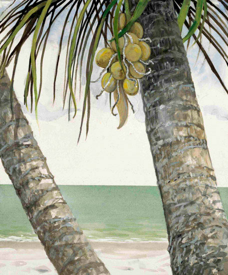 Kompatibel Landskab til JAHRRIESNGE coconut-tree-lpf00845 Kompatibel Landskab JAHRRIESNGE til coconut-tree-lpf00845