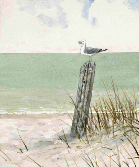 Kompatibel Landskab til JAHRRIESNGE bird-watching-lpf00847 Kompatibel Landskab JAHRRIESNGE til bird-watching-lpf00847
