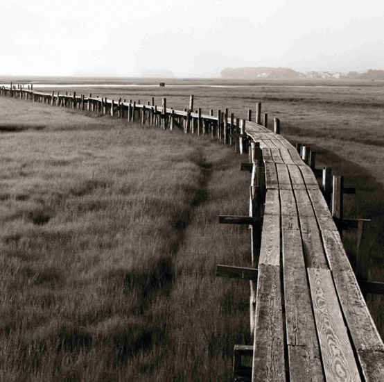Kompatibel Landskab til JAHRRIESNGE wooden-bridge-lpf00851 Kompatibel Landskab JAHRRIESNGE til wooden-bridge-lpf00851