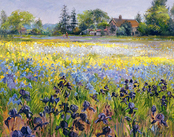 Kompatibel Landskab til JAHRRIESNGE flower-field-lpf02501 Kompatibel Landskab JAHRRIESNGE til flower-field-lpf02501