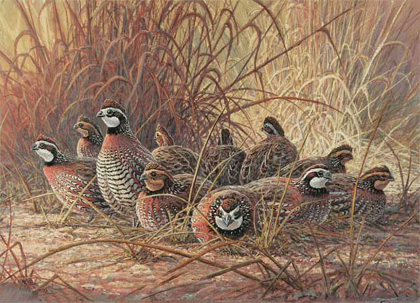Kompatibel Dyr til Jahrriesnge pheasant-lpf02525 Kompatibel Dyr Jahrriesnge til pheasant-lpf02525
