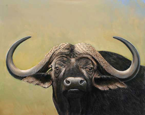 Kompatibel Dyr til Jahrriesnge bison-lpf02535 Kompatibel Dyr Jahrriesnge til bison-lpf02535