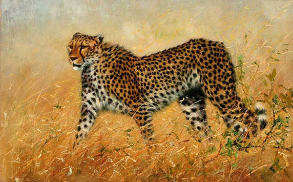 Kompatibel Dyr til Jahrriesnge leopard-lpf02538 Kompatibel Dyr Jahrriesnge til leopard-lpf02538