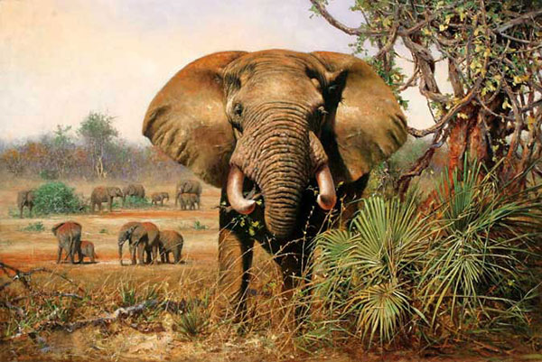 Kompatibel Dyr til Jahrriesnge elephant-lpf02544 Kompatibel Dyr Jahrriesnge til elephant-lpf02544