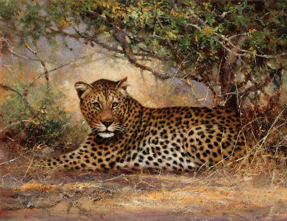 Kompatibel Dyr til Jahrriesnge Leopard-lpf02547 Kompatibel Dyr Jahrriesnge til Leopard-lpf02547