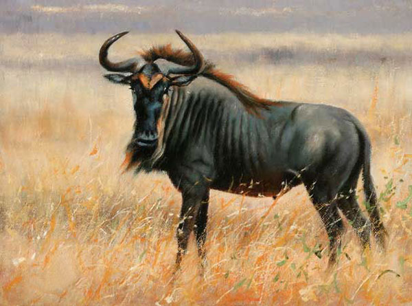 Kompatibel Dyr til Jahrriesnge wildebeest-lpf02552 Kompatibel Dyr Jahrriesnge til wildebeest-lpf02552