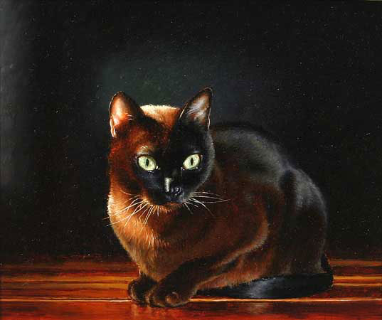 Kompatibel Dyr til Jahrriesnge cat-lpf02561 Kompatibel Dyr Jahrriesnge til cat-lpf02561