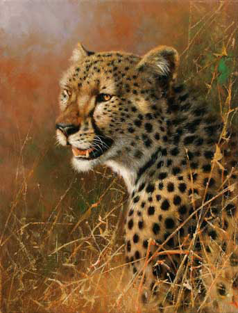 Kompatibel Dyr til Jahrriesnge leopard-lpf02567 Kompatibel Dyr Jahrriesnge til leopard-lpf02567