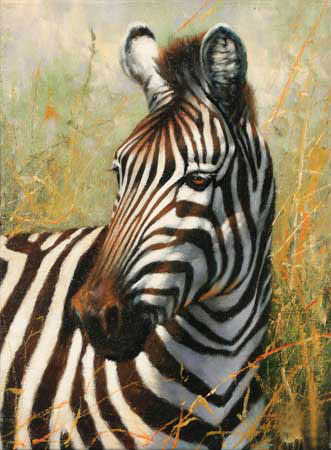 Kompatibel Dyr til Jahrriesnge zebra-lpf02572 Kompatibel Dyr Jahrriesnge til zebra-lpf02572