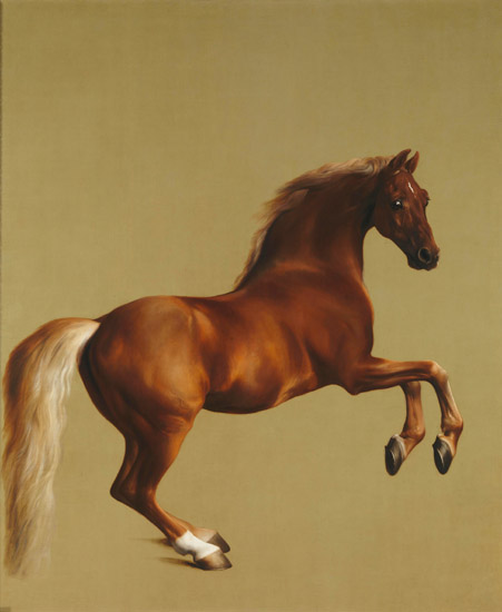 Kompatibel Dyr til Jahrriesnge horse-lpf02578 Kompatibel Dyr Jahrriesnge til horse-lpf02578