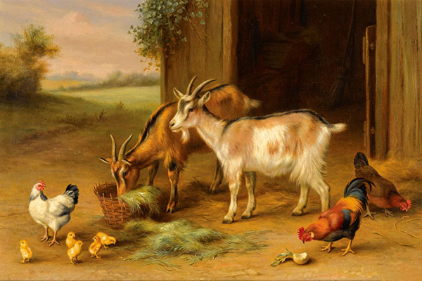 Kompatibel Dyr til Jahrriesnge animals-lpf02586 Kompatibel Dyr Jahrriesnge til animals-lpf02586