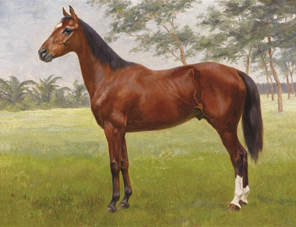 Kompatibel Dyr til Jahrriesnge brown-horse-lpf02590 Kompatibel Dyr Jahrriesnge til brown-horse-lpf02590