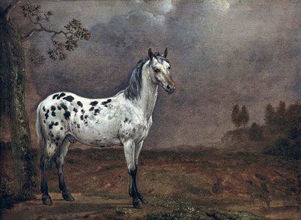 Kompatibel Dyr til Jahrriesnge horse-lpf02607 Kompatibel Dyr Jahrriesnge til horse-lpf02607