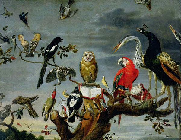 Kompatibel Dyr til Jahrriesnge birds-lpf02620 Kompatibel Dyr Jahrriesnge til birds-lpf02620