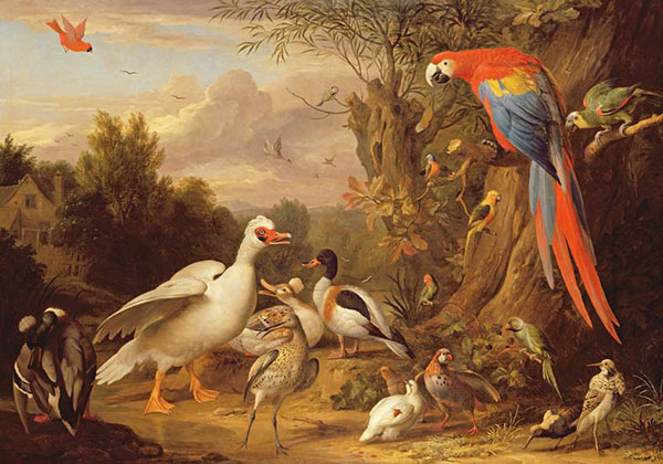 Kompatibel Dyr til Jahrriesnge macaw-parrot-duck-lpf02623 Kompatibel Dyr Jahrriesnge til macaw-parrot-duck-lpf02623