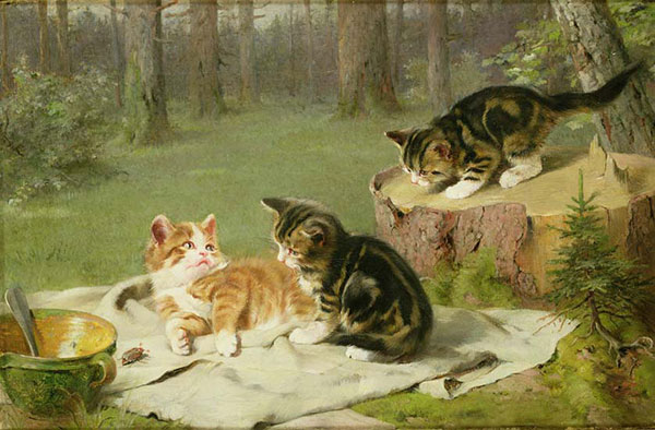 Kompatibel Dyr til Jahrriesnge cat-lpf02628 Kompatibel Dyr Jahrriesnge til cat-lpf02628