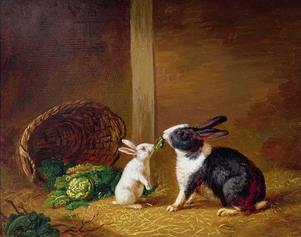 Kompatibel Dyr til Jahrriesnge rabbit-lpf02630 Kompatibel Dyr Jahrriesnge til rabbit-lpf02630