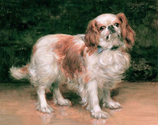 Kompatibel Dyr til Jahrriesnge dog-lpf02641 Kompatibel Dyr Jahrriesnge til dog-lpf02641
