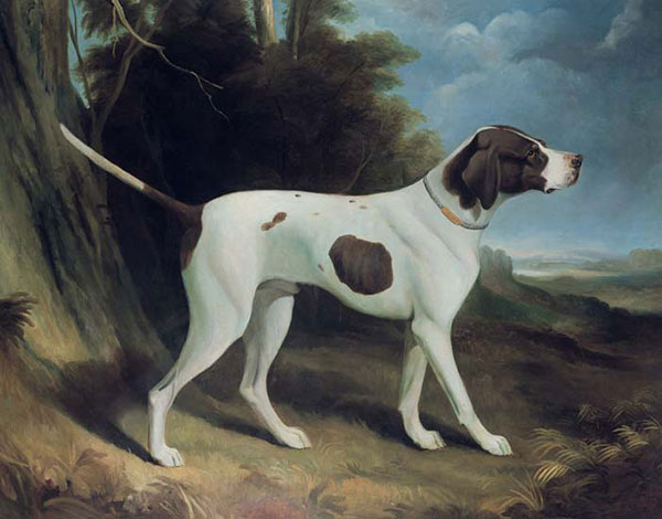 Kompatibel Dyr til Jahrriesnge dog-lpf02642 Kompatibel Dyr Jahrriesnge til dog-lpf02642