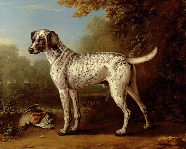 Kompatibel Dyr til Jahrriesnge dog-lpf02644 Kompatibel Dyr Jahrriesnge til dog-lpf02644