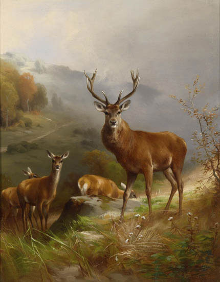 Kompatibel Dyr til Jahrriesnge deer-lpf02658 Kompatibel Dyr Jahrriesnge til deer-lpf02658