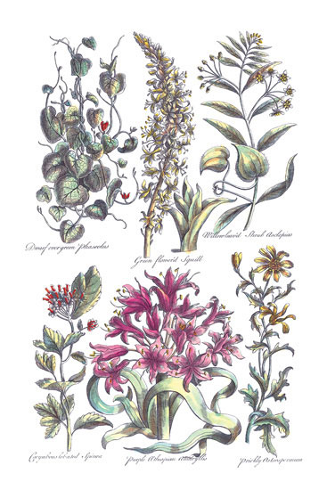 Kompatibel Blomster til JAHRRIESNGE flowers-lpf06820 Kompatibel Blomster JAHRRIESNGE til flowers-lpf06820