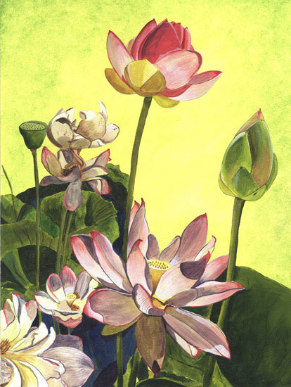 Kompatibel Blomster til JAHRRIESNGE flowers lpf08104 Kompatibel Blomster JAHRRIESNGE til flowers lpf08104