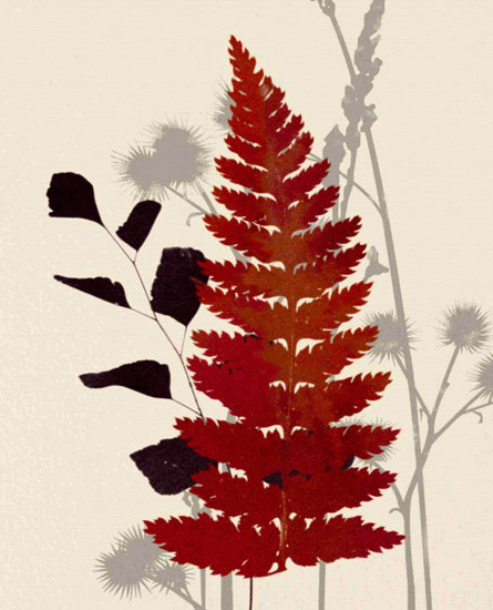Kompatibel Blomster til JAHRRIESNGE leaves lpf10284 Kompatibel Blomster JAHRRIESNGE til leaves lpf10284