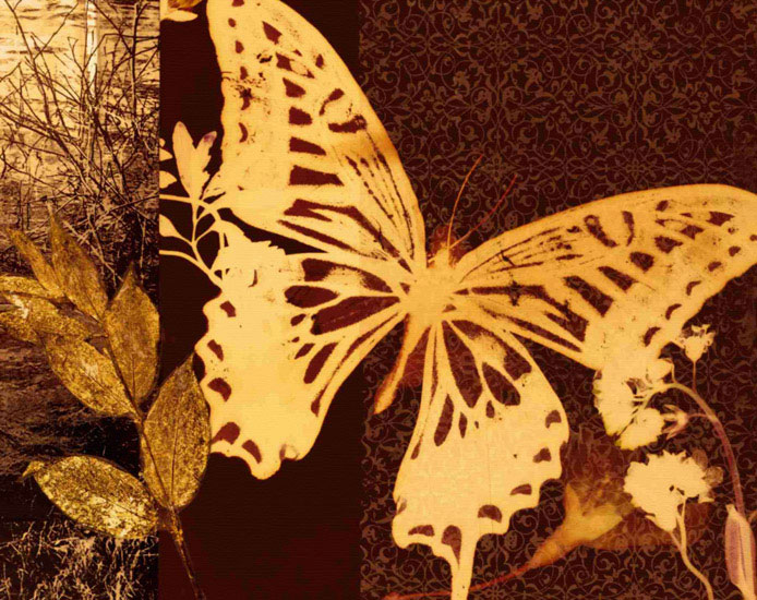 Kompatibel Dyr til Jahrriesnge butterfly lpf10559 Kompatibel Dyr Jahrriesnge til butterfly lpf10559