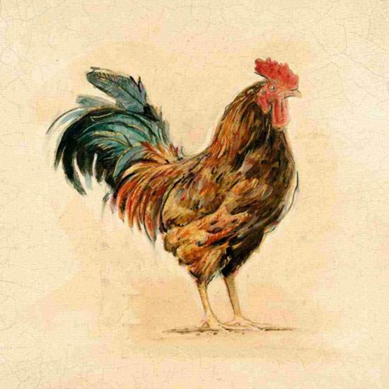 Kompatibel Dyr til Jahrriesnge cock lpf10564 Kompatibel Dyr Jahrriesnge til cock lpf10564