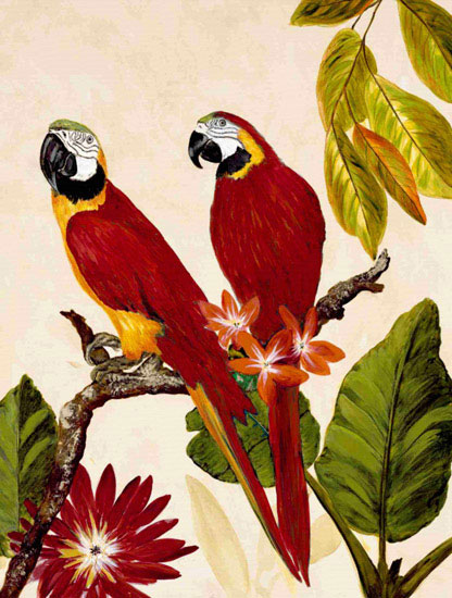 Kompatibel Dyr til Jahrriesnge macaw lpf10599 Kompatibel Dyr Jahrriesnge til macaw lpf10599