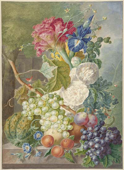 Kompatibel Stilleben til Jahrriesnge fruits lpf13652 Kompatibel Stilleben Jahrriesnge til fruits lpf13652