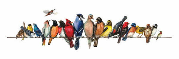 Kompatibel Dyr til Jahrriesnge birds-song-lpg1000 Kompatibel Dyr Jahrriesnge til birds-song-lpg1000