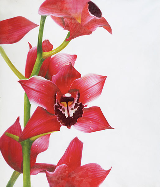 Kompatibel Stilleben til Jahrriesnge flowers lpg2509 Kompatibel Stilleben Jahrriesnge til flowers lpg2509